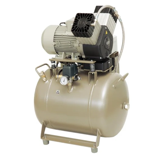 Ekom Компрессор DK50 2V/50/M — до 8 бар, 110 л/мин, ресивер 50 л, ≈230/50, 1,2 кВт, без шкафа, с осушителем<span> (Словакия)</span> — МедиМакс
